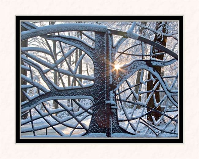 Jenkins Arboretum Gate in Winter